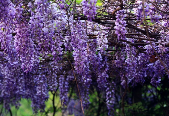 1634360023323957.jpg image.jpg