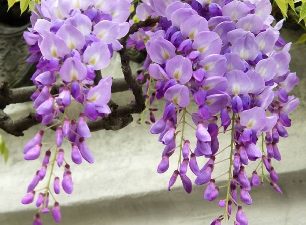 1634360417378665.jpg image.jpg