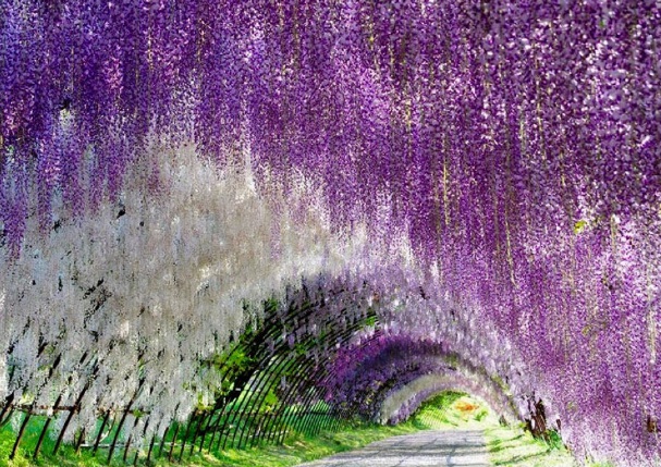 1634360423759902.jpg image.jpg