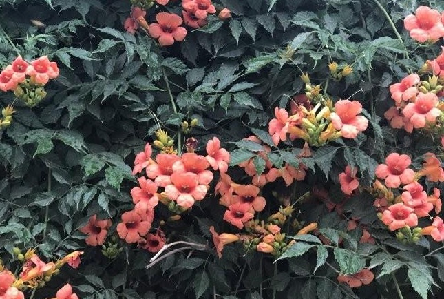 1634463760467326.jpg 圖片.jpg