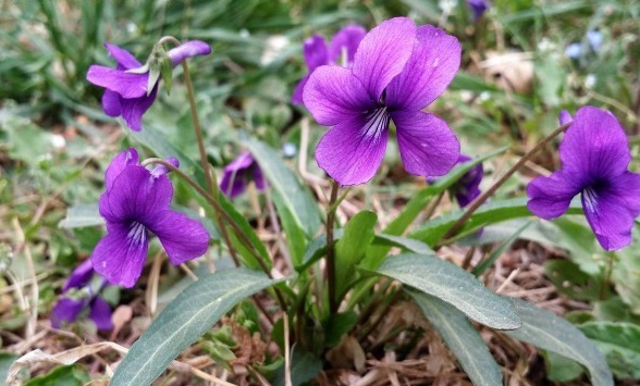 1634464420304837.jpg 1634464420304837.jpg