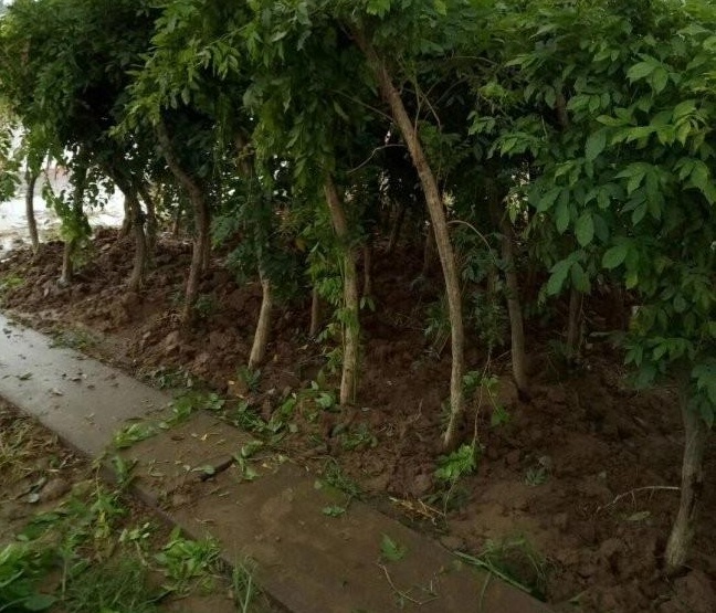 1634465049491673.jpg 圖片.jpg