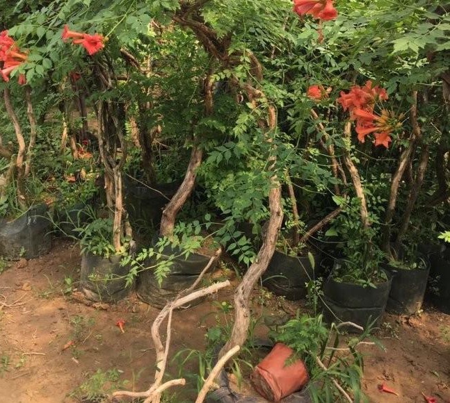 1634465078923106.jpg 圖片.jpg