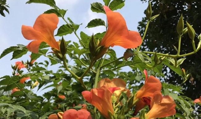 1634465660718422.jpg 圖片.jpg