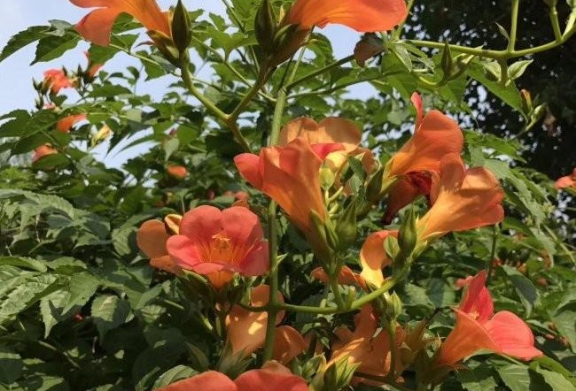 1634465671260825.jpg 圖片.jpg