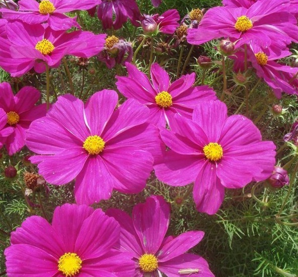 1634465915878066.jpg 圖片.jpg