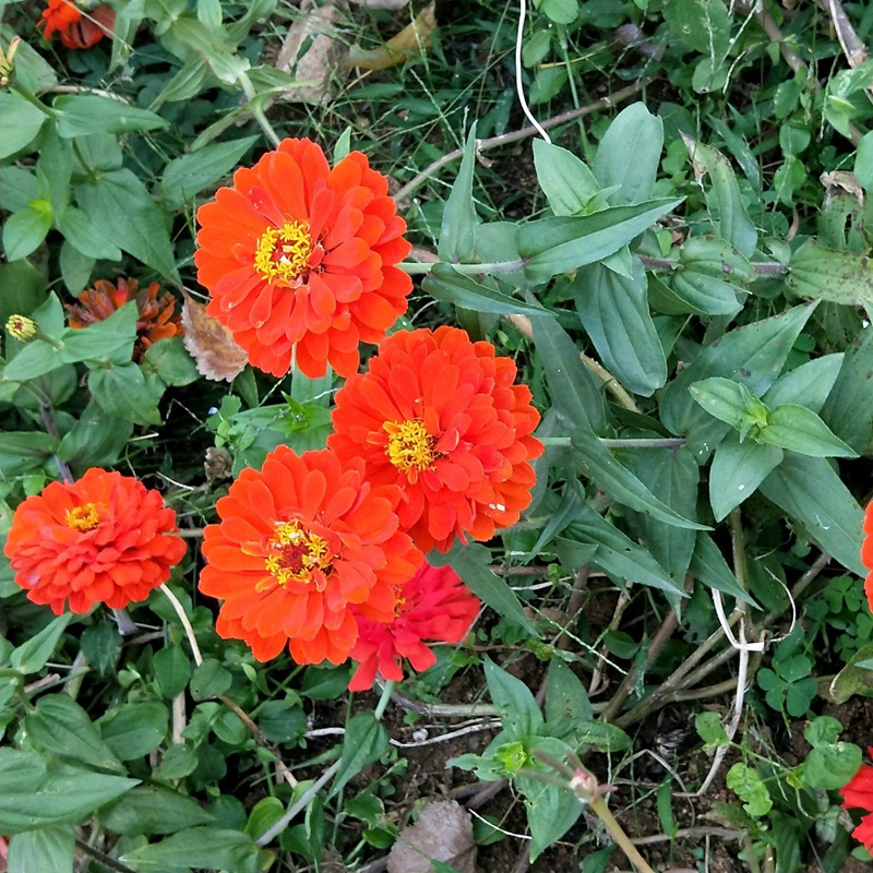 1634561599142260.jpg d8ab1be265978dc4f31d02c165ab559f_1587632733869716.jpg