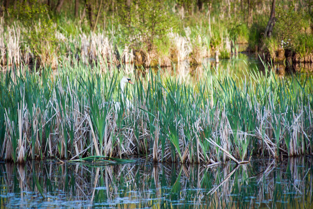 1634637762394851.jpg 1634637762394851.jpg