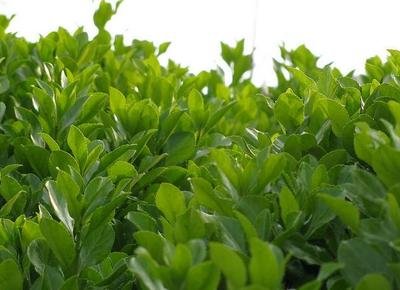 1634638036244863.jpg 1634638036244863.jpg