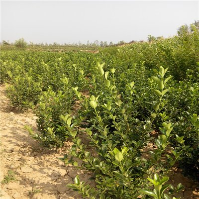 1634638054114691.jpg 1634638054114691.jpg