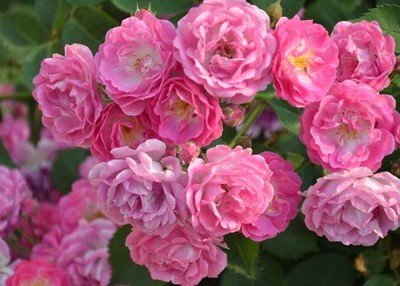 1634641060751774.jpg 1634641060751774.jpg