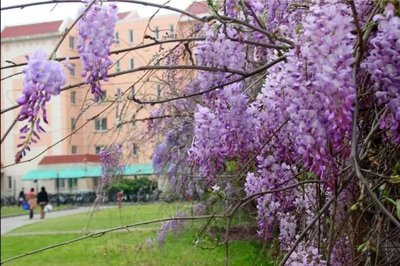 1634642183576267.jpg 1634642183576267.jpg