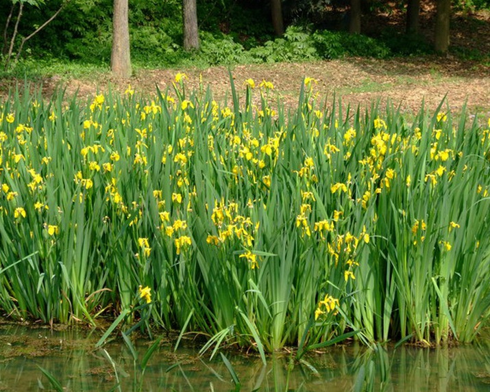 1634717754439996.jpg 1634717754439996.jpg