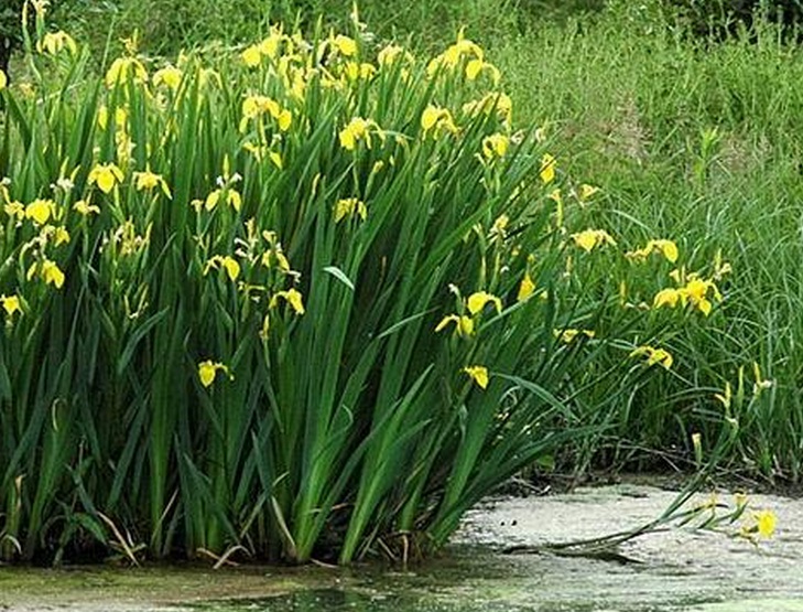 1634717790753777.jpg 1634717790753777.jpg