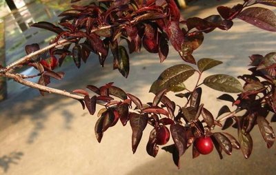 1634728325292581.jpg 1634728325292581.jpg