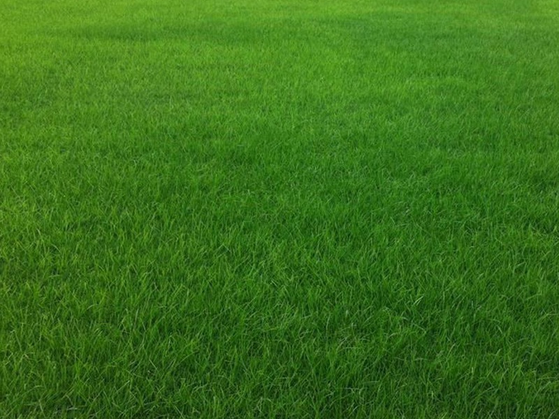 1634745155212337.jpg f3a9b5de70e371677c121a19b53205d1_1591075612913879.jpg