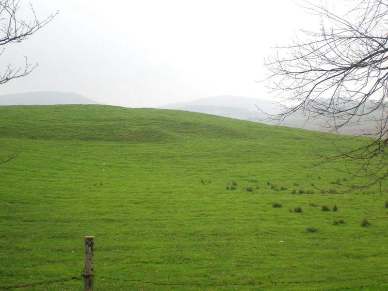 1634745167753214.jpg 2ccd6b7c44e75373c77d9380557e1205_1591075612128982.jpg