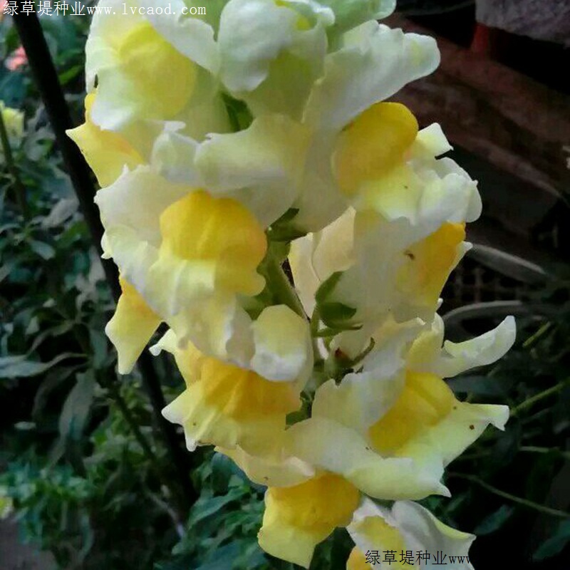 1634785830240255.jpg 8d3c550862678c1dd5fd4182c131d6e7_1585646439581188.jpg