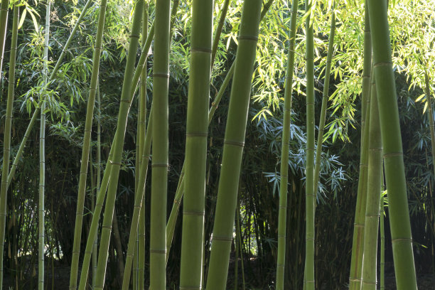 1634810336566797.jpg 1634810336566797.jpg