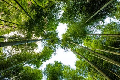 1634810352469495.jpg 1634810352469495.jpg