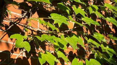 1634810735110260.jpg 1634810735110260.jpg