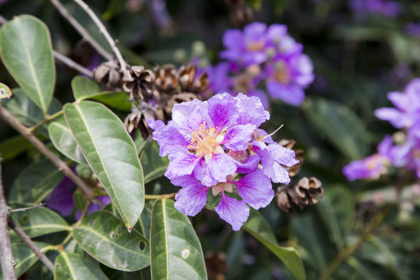 1634812287653411.jpg 1634812287653411.jpg