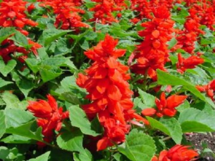 1634975163665696.jpg 1634975163665696.jpg