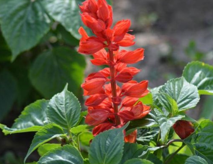 1634975189467018.jpg 1634975189467018.jpg