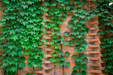 1634988237854623.jpg 1634988237854623.jpg