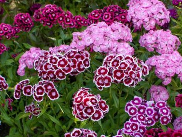 1635259063409123.jpg 1635259063409123.jpg