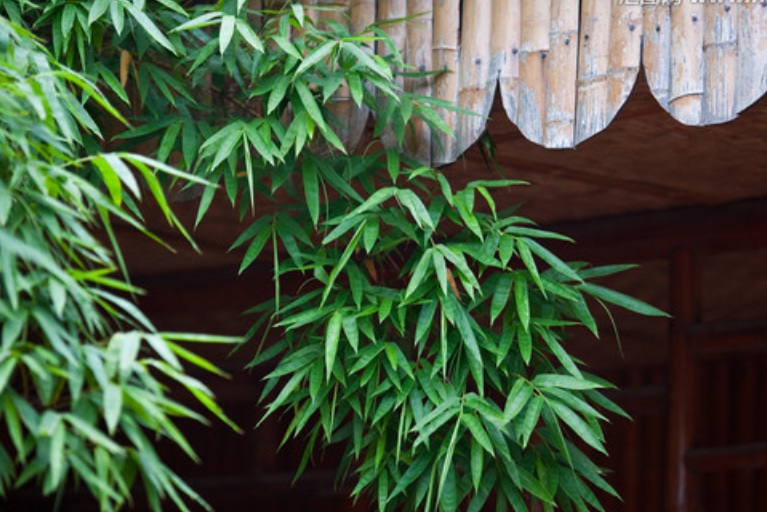 1635314253188296.jpg 1635314253188296.jpg