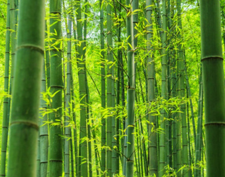 1635314265522644.jpg 1635314265522644.jpg