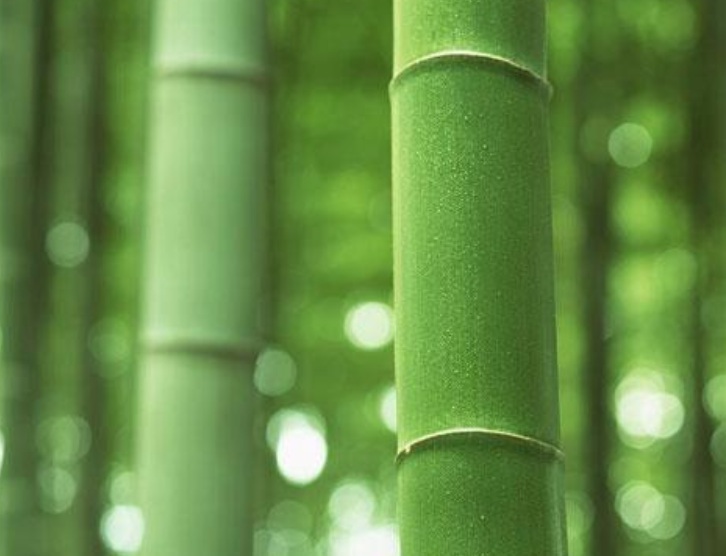 1635491230556335.jpg 1635491230556335.jpg