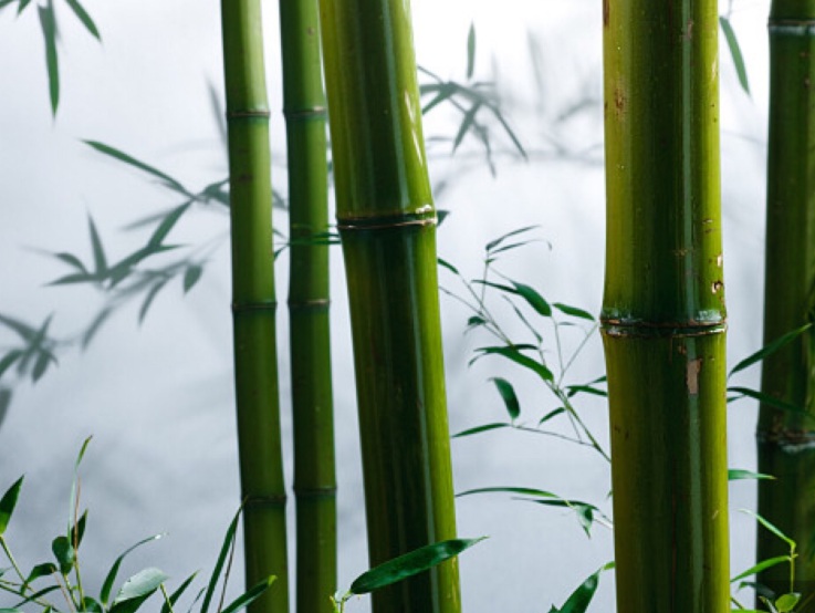 1635491246247698.jpg 1635491246247698.jpg