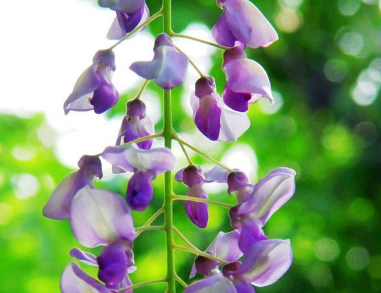 1635608463179125.jpg 1635608463179125.jpg