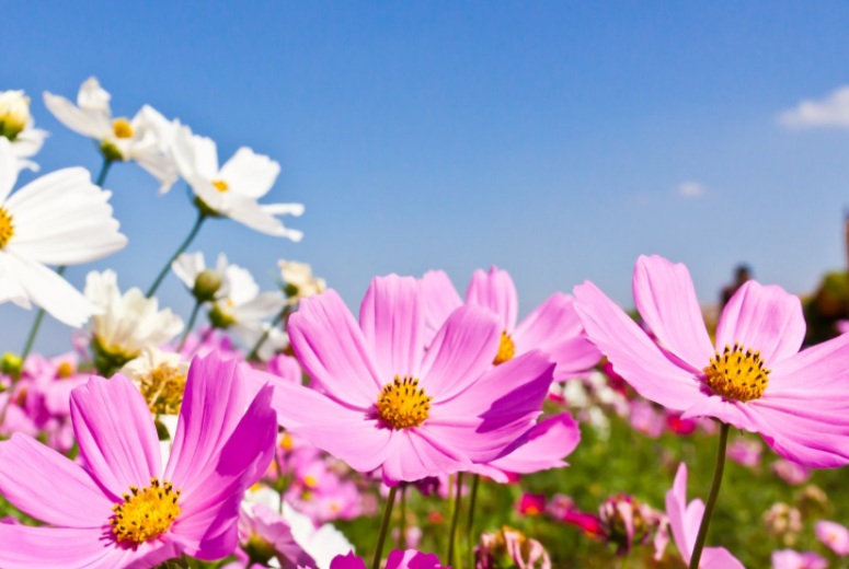 1635608908218428.jpg 1635608908218428.jpg