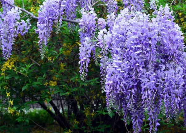 1635827495456671.jpg image.jpg