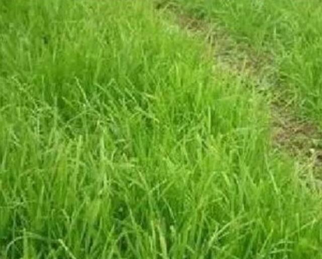 1635908052623297.jpg 1635908052623297.jpg