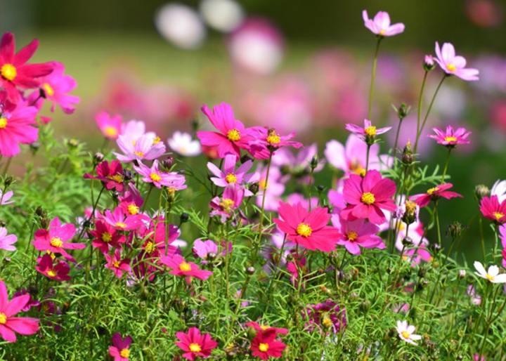 1635912641496278.jpg 1635912641496278.jpg