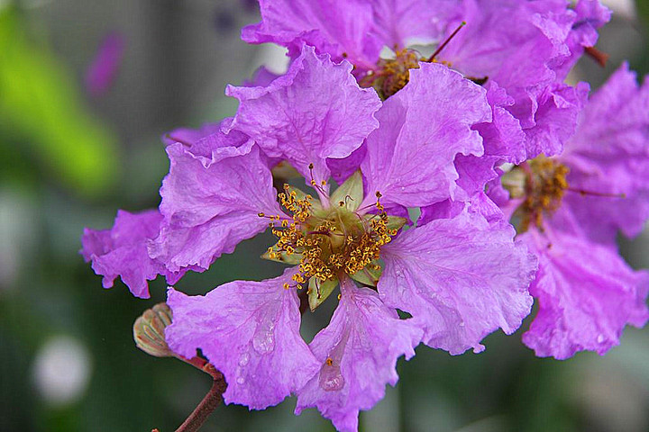 1635940959380861.jpg 1635940959380861.jpg