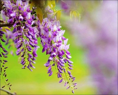 1636109294139630.jpg 1636109294139630.jpg