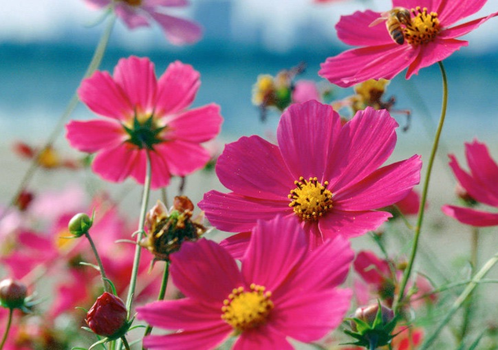 1636277632817461.jpg 1636277632817461.jpg