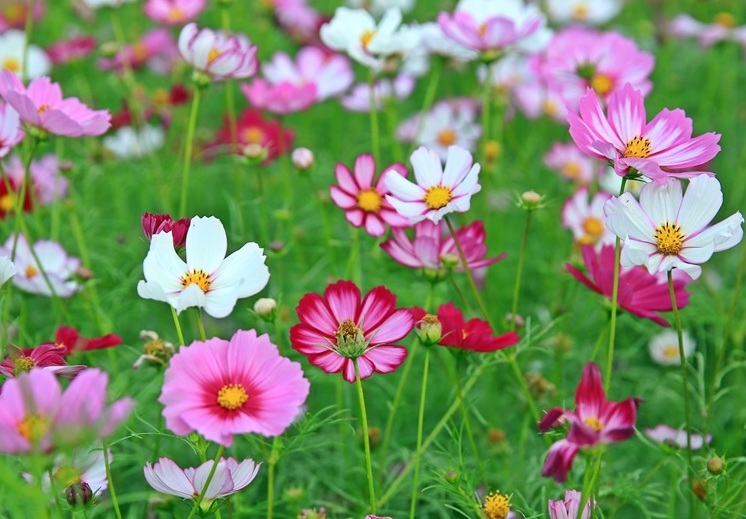 1636277644426913.jpg 1636277644426913.jpg