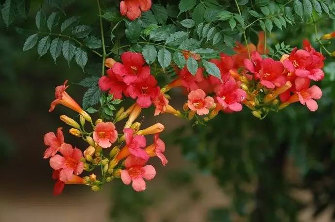 1636282699986888.jpg 1636282699986888.jpg