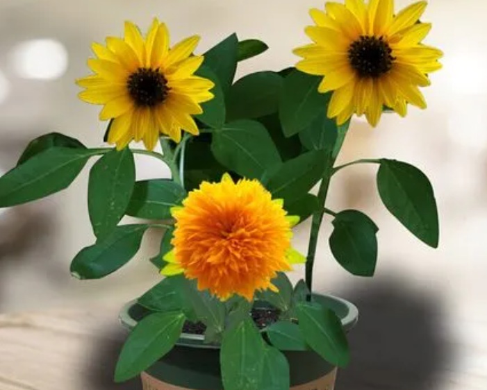 1636295554228422.jpg 1636295554228422.jpg