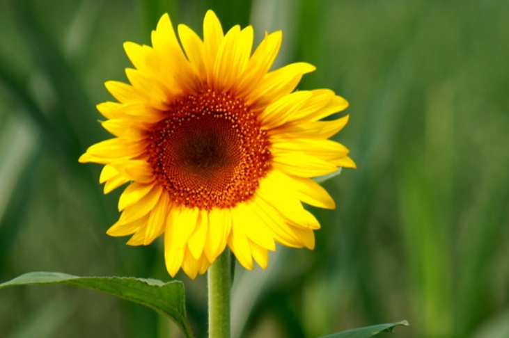 1636296033952971.jpg 1636296033952971.jpg