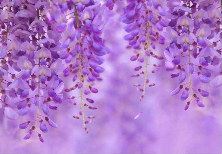 1636706190902836.jpg 1636706190902836.jpg