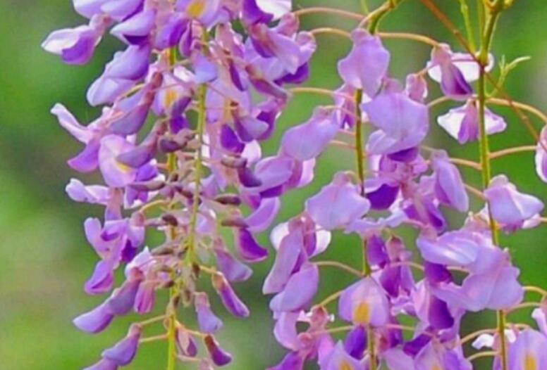 1636706207112460.jpg 1636706207112460.jpg