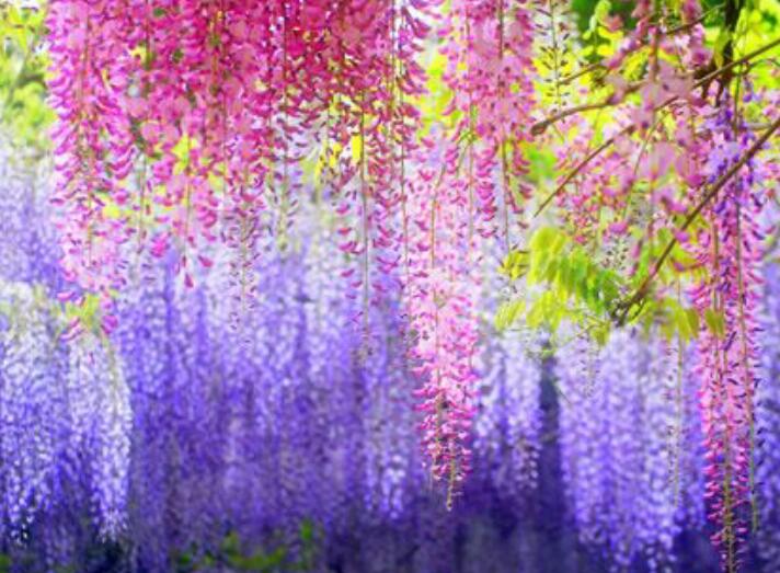 1636706220291351.jpg 1636706220291351.jpg