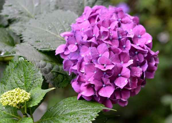 1636978720420483.jpg image.jpg